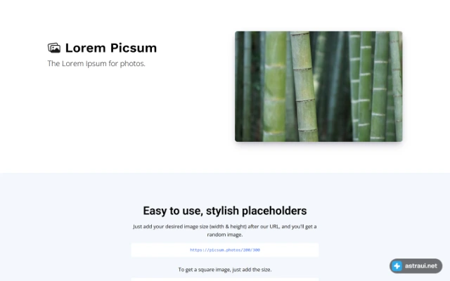 Главная страница Lorem Picsum