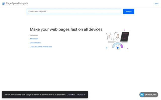 Главная страница PageSpeed Insights